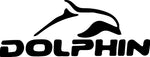 DOLPHIN Swimming Training Mirror Goggles (DP1535)